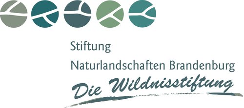 Logo Stiftung Naturlandschaften Brandenburg - Die Wildnisstiftung