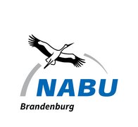 Logo NABU Brandenburg