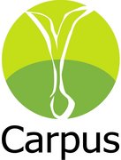 Logo Carpus e.V.