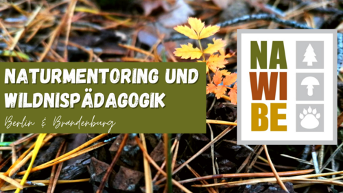Logo NAWIBE Naturmentoring & Wildnispädagogik Berlin – Brandenburg, Wildnisschule Berlin